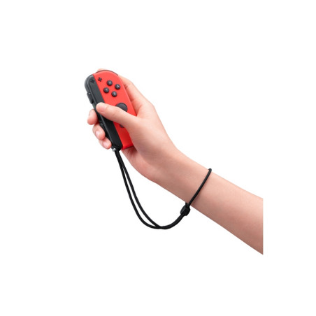 VIDEOGIOCO SWITCH SPORTS - PER SWITCH