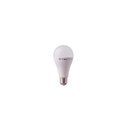 LAMPADINA A LED 15W E27 A65 6400K (161)