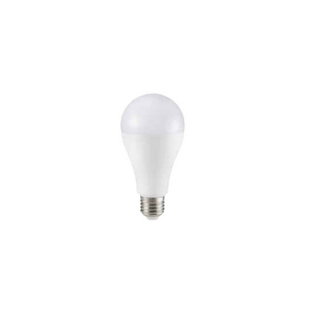LAMPADINA A LED 17W E27 A65 4000K (163)