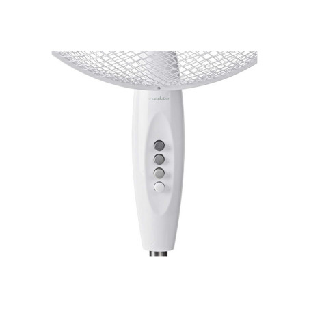 VENTILATORE A PIANTANA FNST10CWT40 A PAL
