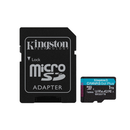 TRANS FLASH 1 TB CANVAS GO PLUS (SDCG3/1
