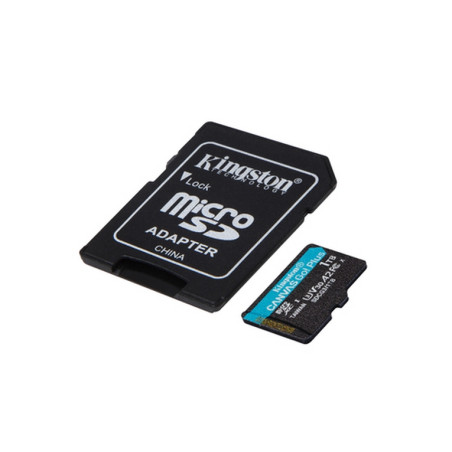 TRANS FLASH 1 TB CANVAS GO PLUS (SDCG3/1