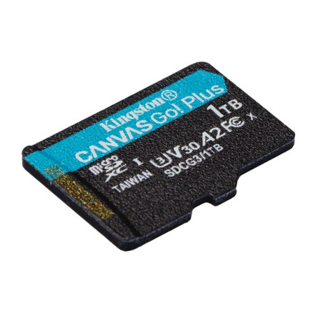 TRANS FLASH 1 TB CANVAS GO PLUS (SDCG3/1