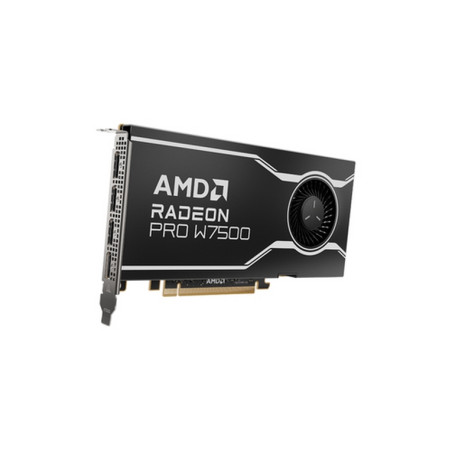 SCHEDA VIDEO RADEON PRO W7500 8 GB DDR6
