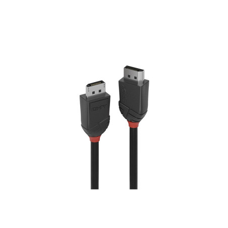 LINDY CAVO DISPLAYPORT 1.2 BLACK LINE 2M