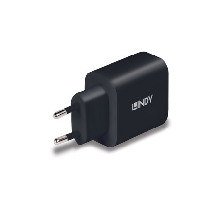 LINDY ALIMENTATORE GAN USB TIPO C, 65W