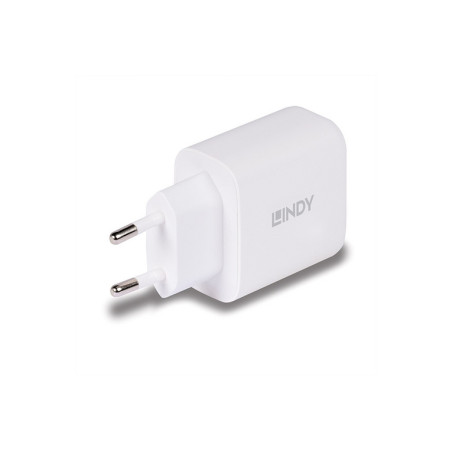 LINDY ALIMENTATORE GAN USB TIPO A  C, 65