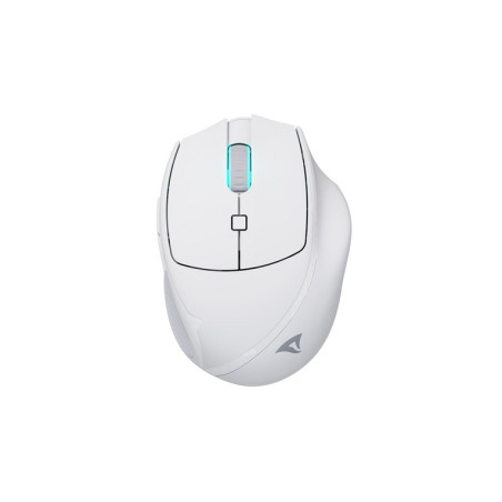 SHARKOON MOUSE WIRELESS OFFICEPAL, ERGON