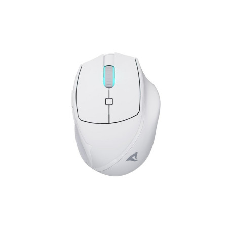 SHARKOON MOUSE WIRELESS OFFICEPAL, ERGON