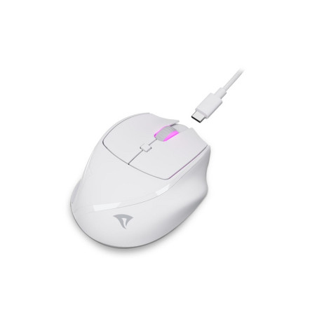 SHARKOON MOUSE WIRELESS OFFICEPAL, ERGON