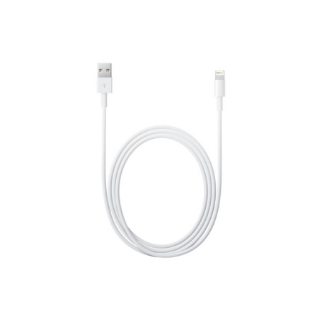 CAVO USB 2.0 LIGHTNING 1MT APPLE