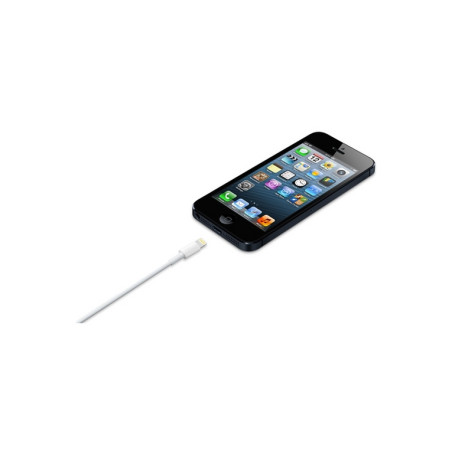 CAVO USB 2.0 LIGHTNING 1MT APPLE