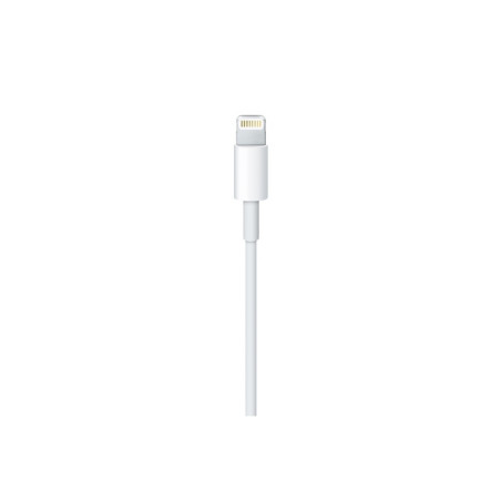 CAVO USB 2.0 LIGHTNING 1MT APPLE