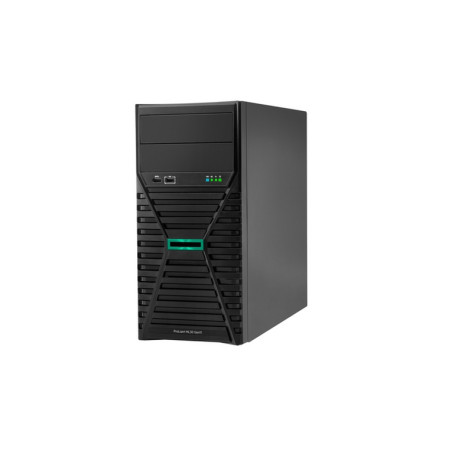 SERVER HPE ML30 E2414 32GB 1TB*2 G11 SAT
