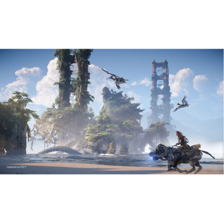 VIDEOGIOCO HORIZON: FORBIDDEN WEST STAND
