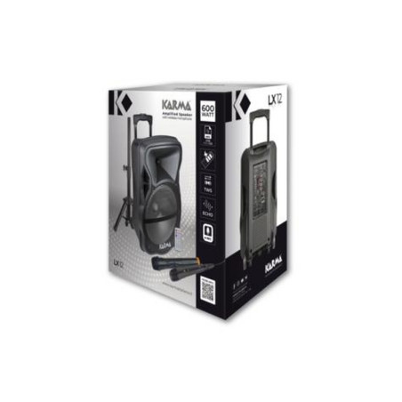 CASSA AUDIO AMPLIFICATO LX 12 600 WATT C