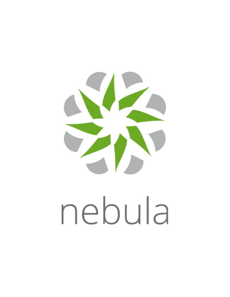 LICENZA ZYXEL NEBULA PROFESSIONAL PACK (