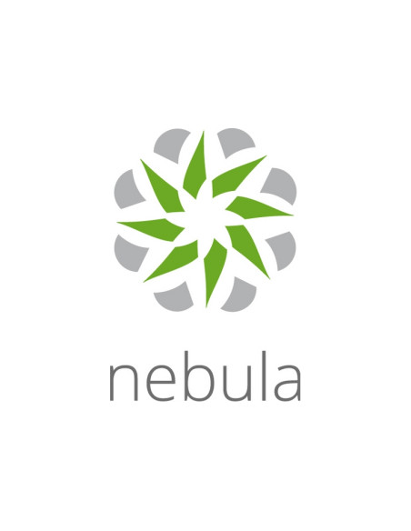 LICENZA ZYXEL NEBULA PROFESSIONAL PACK (